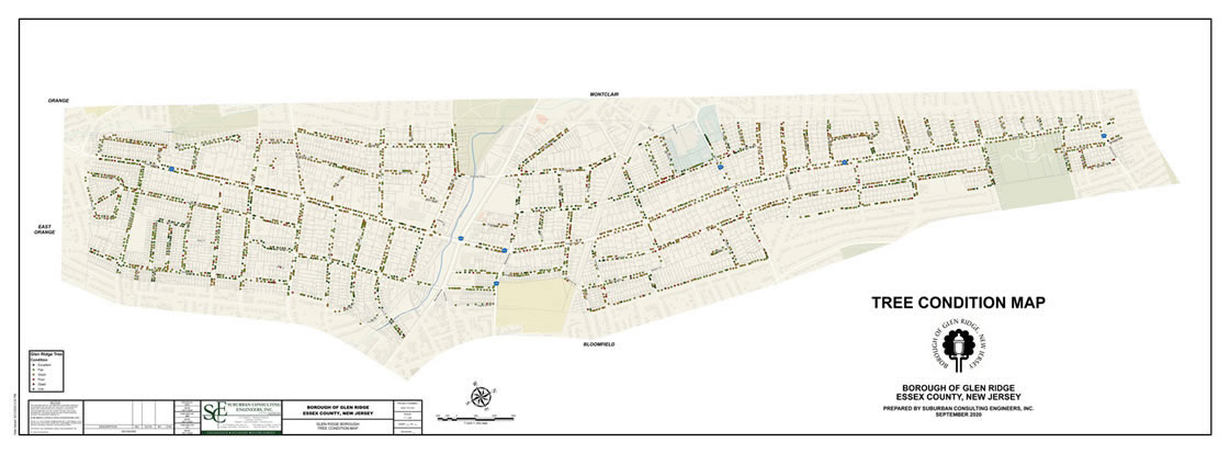 Glen Ridge Tree Condition Map 2020